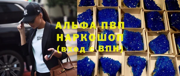 крисы Щучье