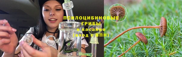 spice Костерёво
