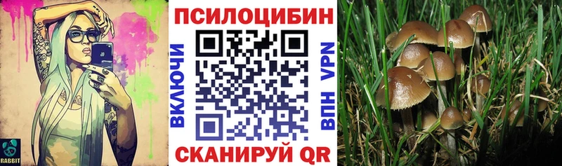 Галлюциногенные грибы мицелий  Ноябрьск 