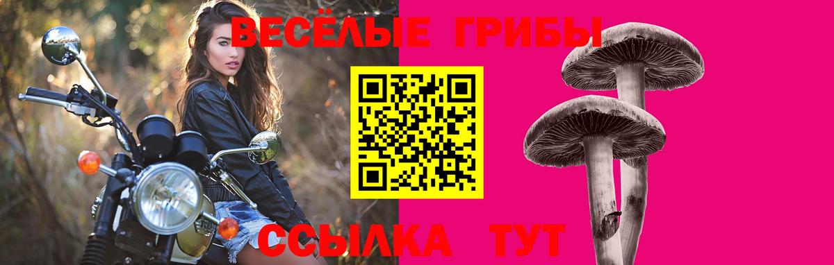 Галлюциногенные грибы Magic Shrooms Ноябрьск